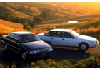 Holden VQ Statesman and Caprice