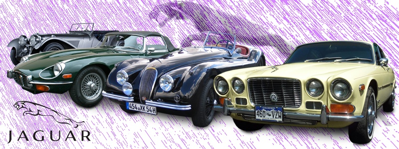 Jaguar Car Club Listing
